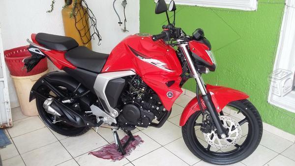 Fz 2.0 roja -16