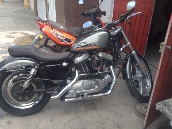 Harley 1200 -05