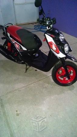 Biwis motard -13