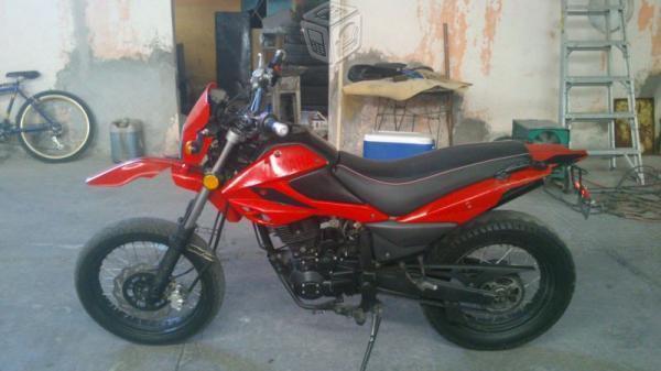 MOTO DM CROOS V/C -12