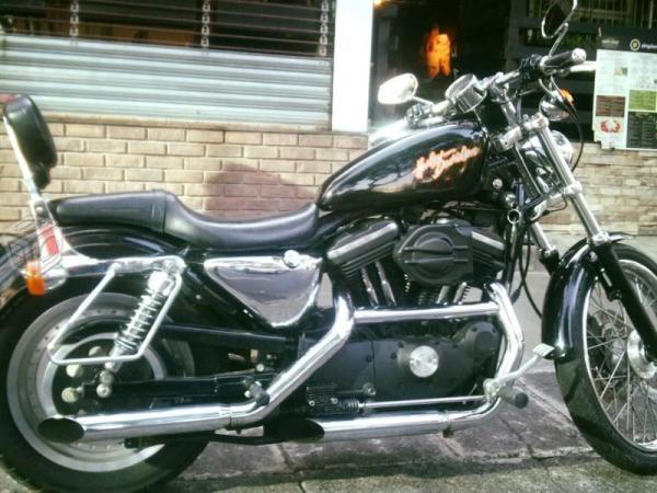 Harley Sportster 883 -01
