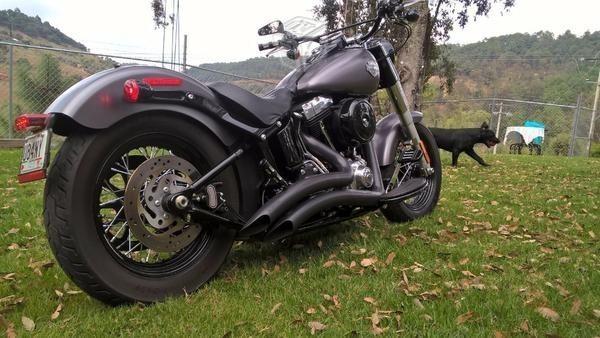 Harley davison softail slim -14