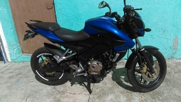 Pulsar Azul Checala -14