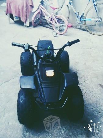 Minicuatrimoto 50cc kazuma meerkat v/c