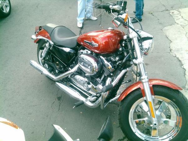 Harley davidson custom sportster -14