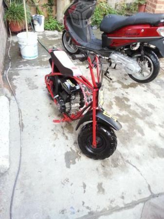 Mini moto Motovox semi nueva -14