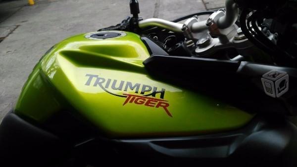 Tryump tiger -11