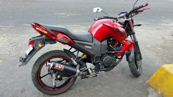 Fz roja -14