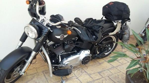 FAT BOY lo. Harley Davidson,excelentes condiciones -15