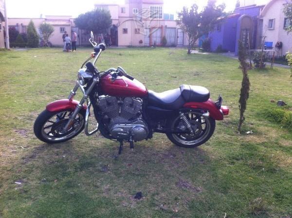 Sportster nacional -12