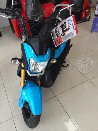 Honda Zoomer 110 cc -16