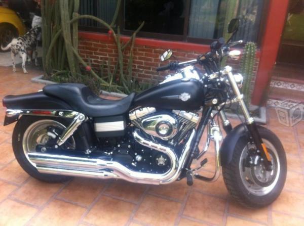 Harley Davidson Fxdb Dyna Fat Bob (nacional) -11