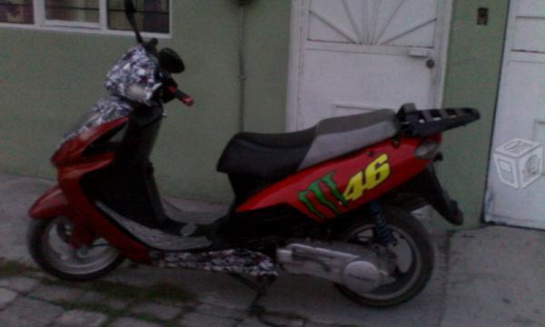 koqueta monster 46 -06