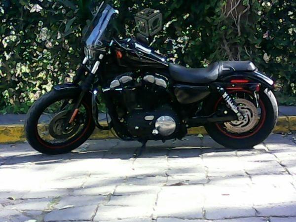 Harley -09