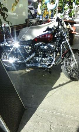 Harley davidson sportster custom xi v/c -05