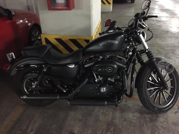 Harley Davidson 883 -13