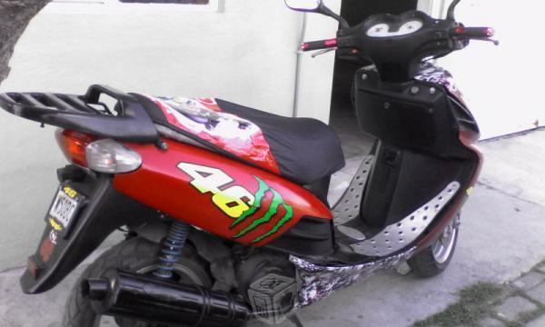 coqueta monster 46 -06