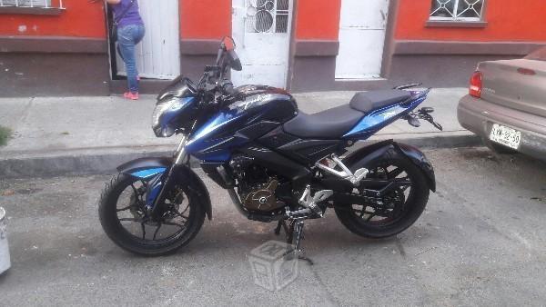 Pulsar IMPECABLE -14