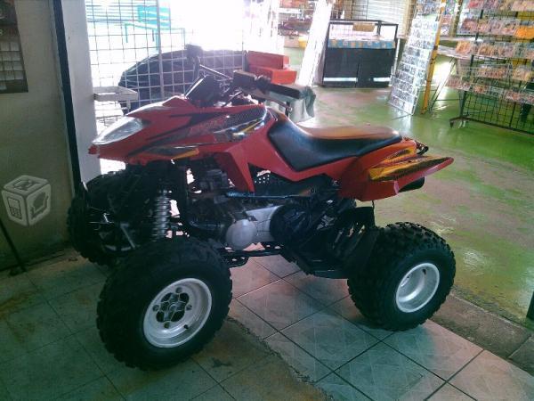 arctic cat dvx -06