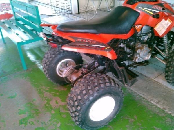 arctic cat dvx -06