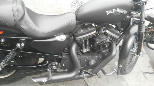 Harley Iron 883 -15
