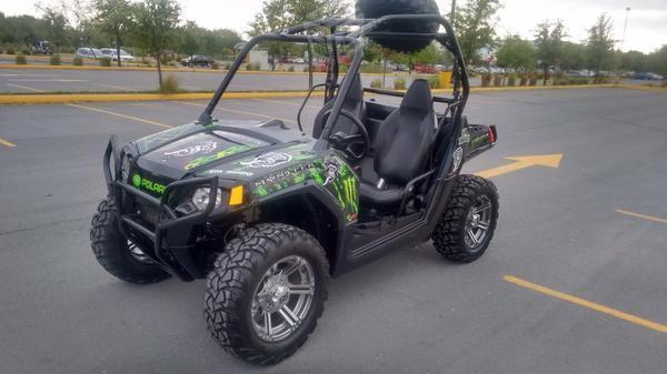 Rzr 800