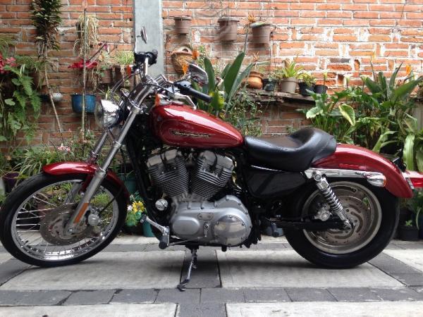 Bonita sportster xl 883cc custom -09