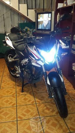 Pulsar ASEGURADA -16