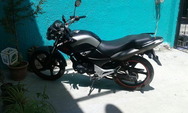 Ft 200cc buen trato -14