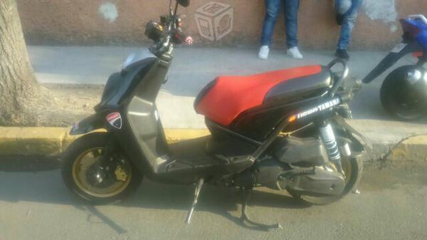 Biwis motard -12