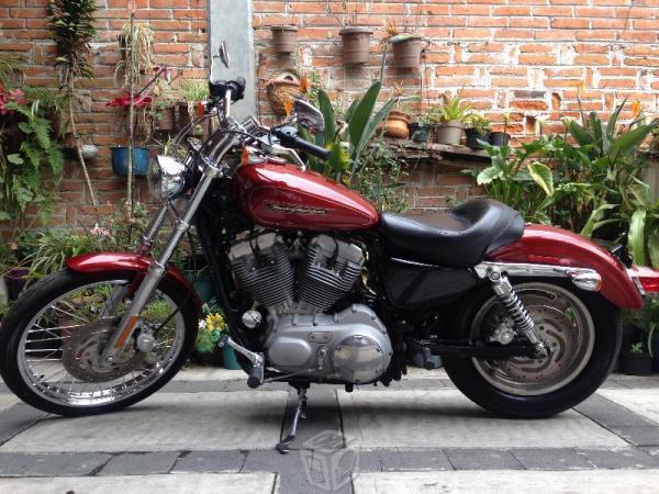 Excelente sportster xl883 cc custom -09