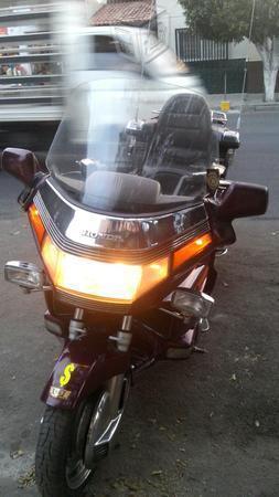 Hermoza gold wing -89