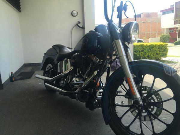 Harley davidson custom -00