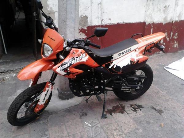Motard Shark -13
