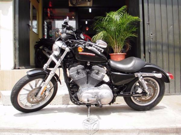 Preciosa harley davidson low 883 impecable -06