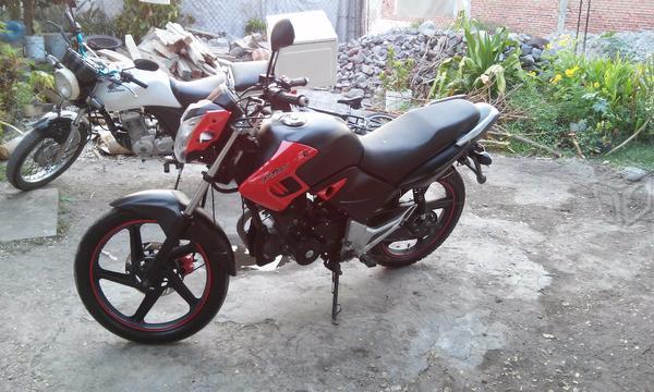 Bonita ft 180 -15