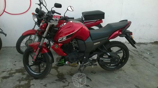 Excelente fz16