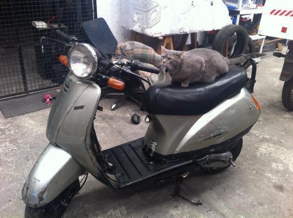 Se vende honda activa 110 cc -08