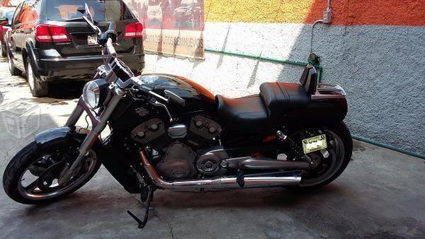 Harley davidson v rod muscle -09