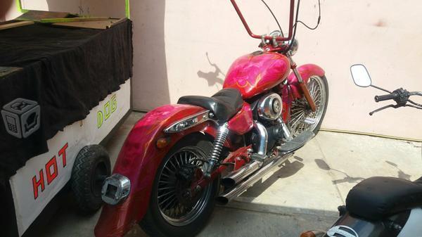 Colt tipo harley -09