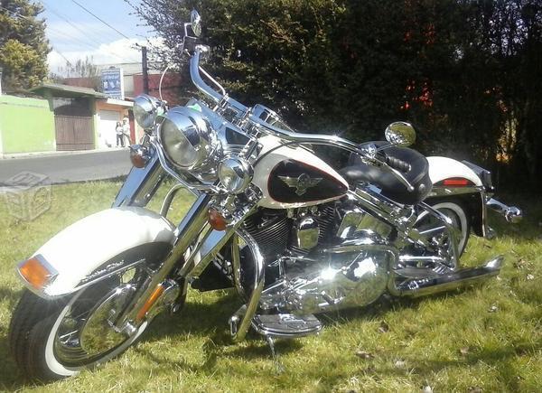 Harley Davidson -89
