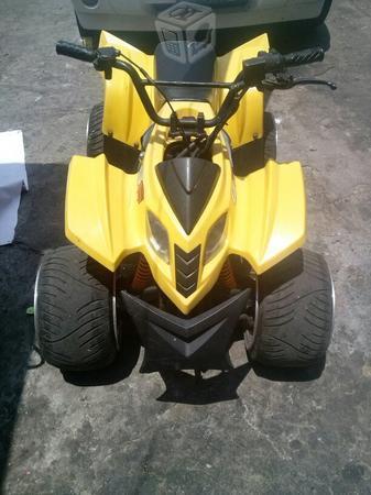 Cuatrimoto zl -08