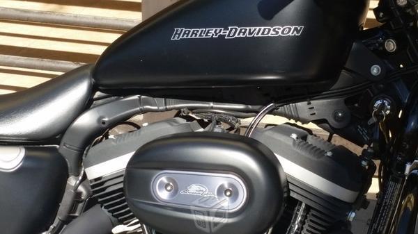 En venta Harley Davidson SPORTER IRON 883 CC -11