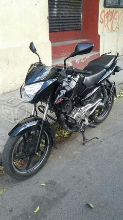 Pulsar 135 -13