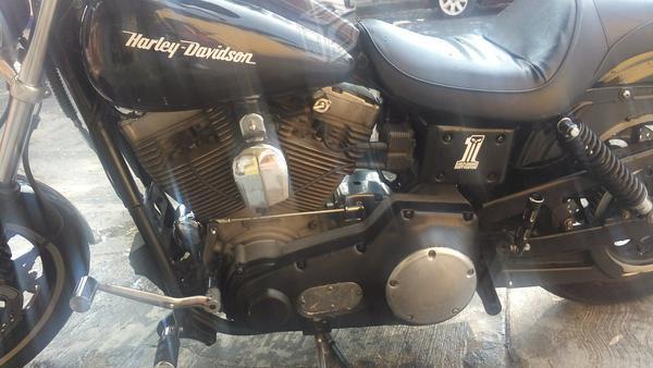 Harley dayna polis 1450 -01