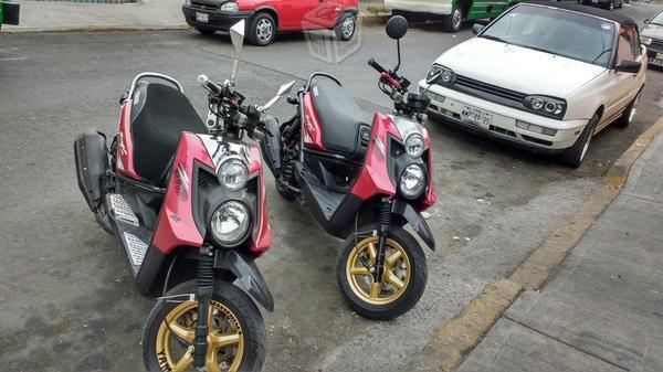 Biwis motard rubi -15