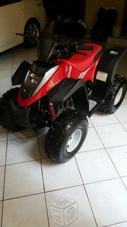 Cuatrimoto VENTO 100cc -13