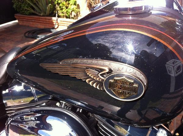 Dyna SuperGlide 110th Aniversario -13