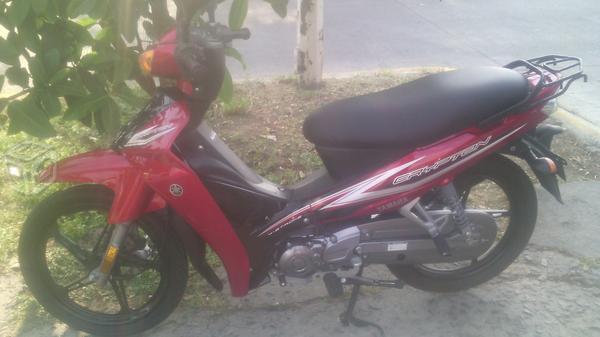 Crypton bonita -13