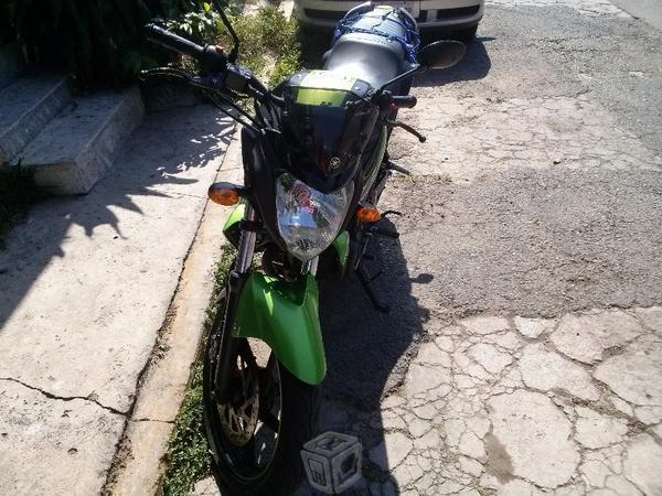 FZ Negro con verde -13